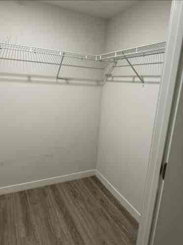 Beautiful room for rent