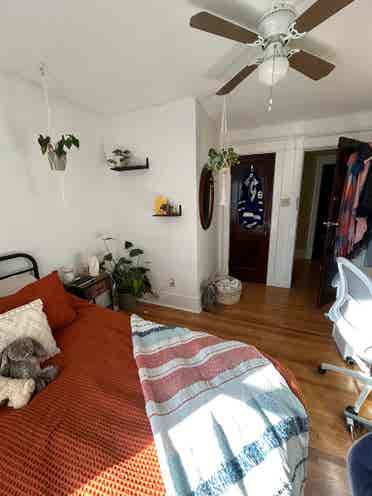Summer sublet