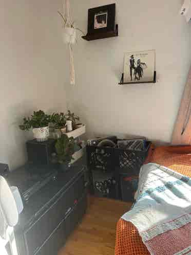 Summer sublet