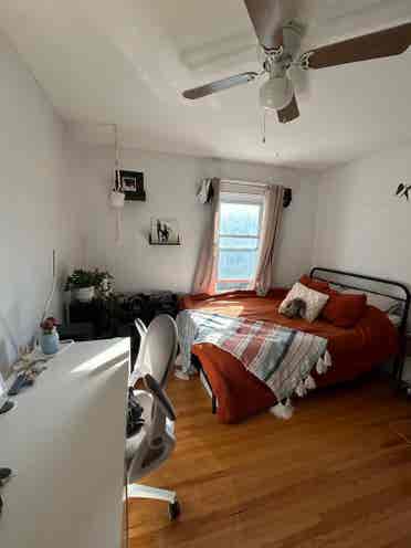 Summer sublet