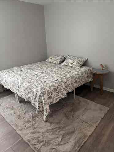 Large room with long size bed