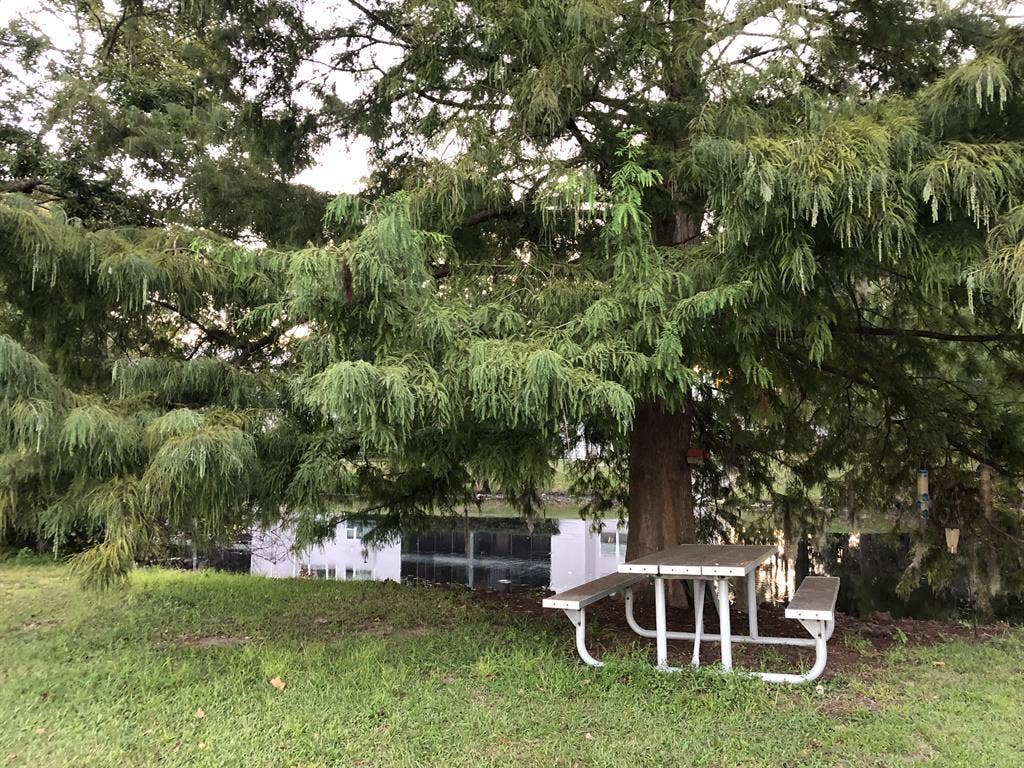 Least Obnoxious Rent in MtP