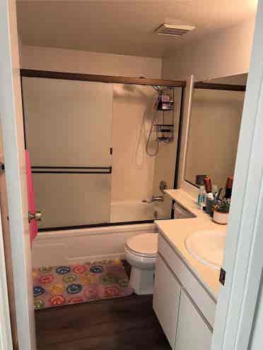 Great room in pet friendly house