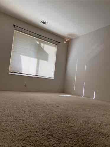 Great room in pet friendly house