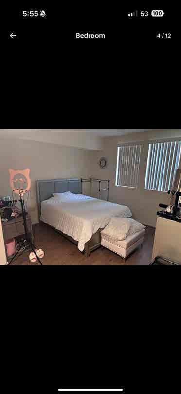 Entire apartment to yourself