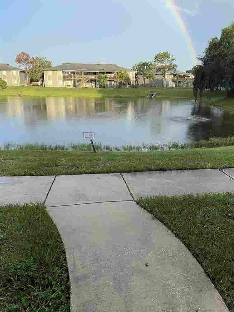 Windoverpalm’s apartments rm needed
