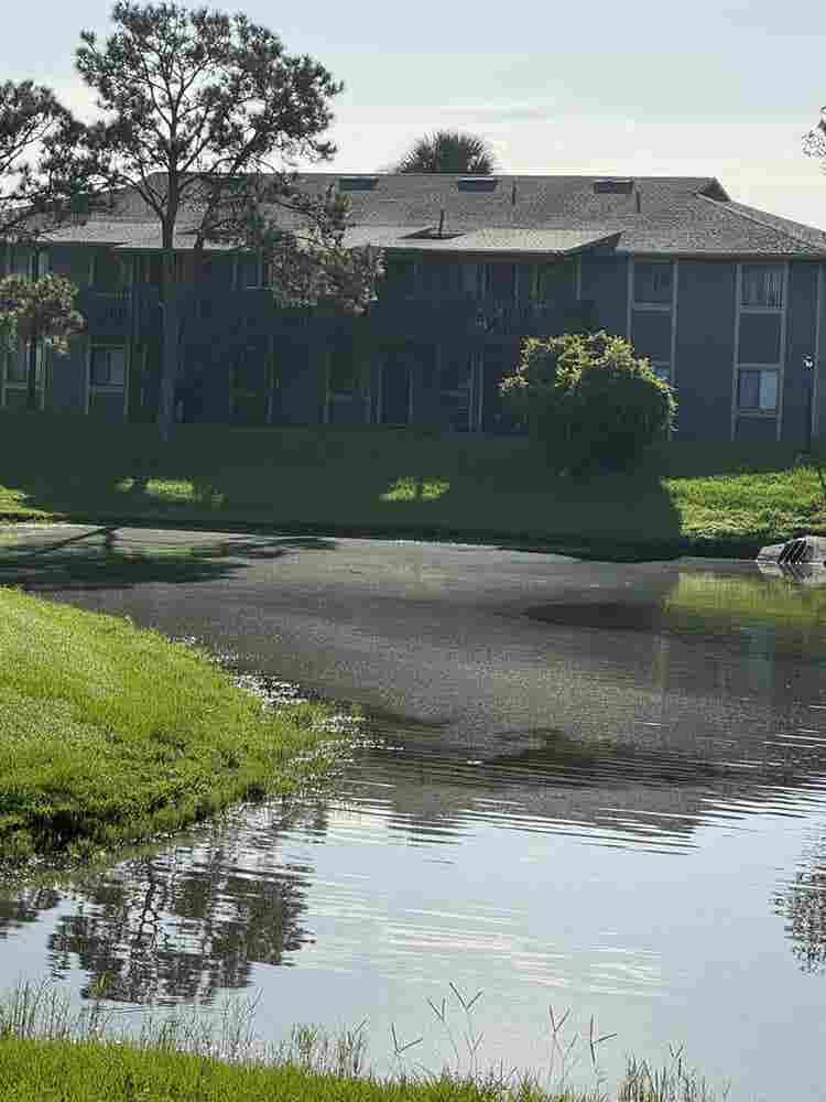 Windoverpalm’s apartments rm needed