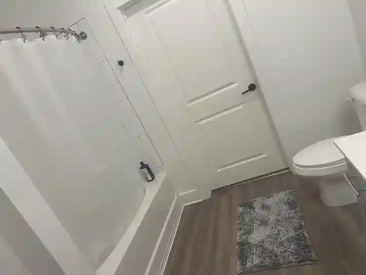 Looking for a roommate. Female only