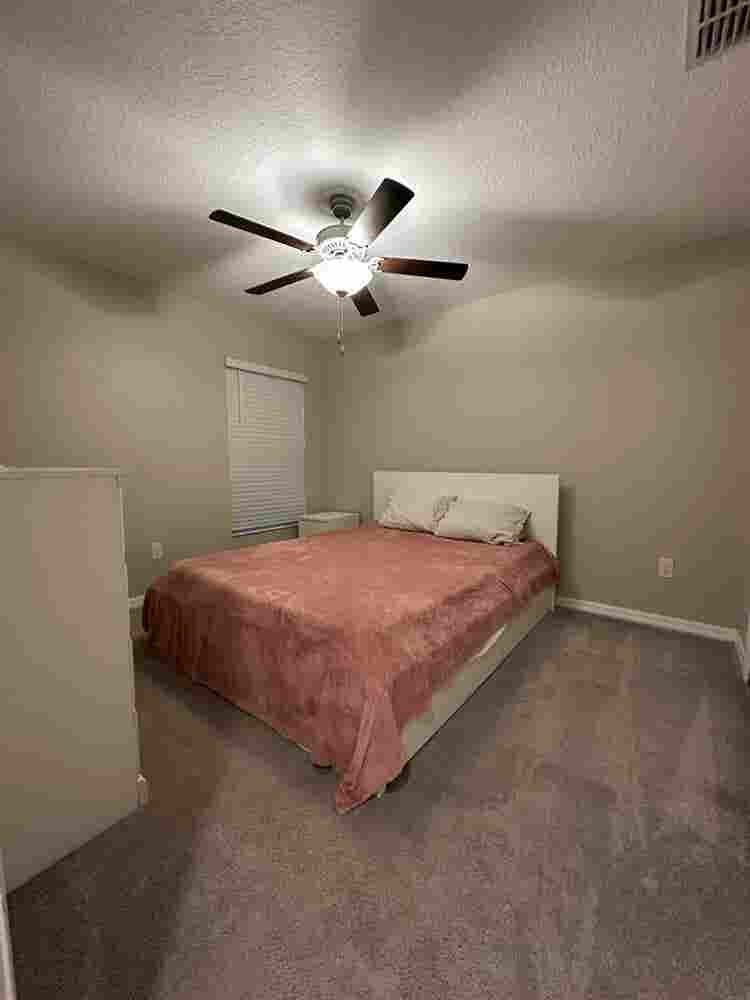 2 rooms for rent in zephyrhills