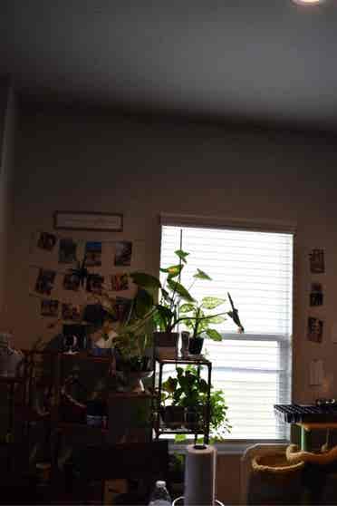 Looking for roommates