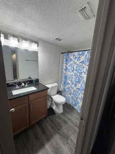 Room available for rent