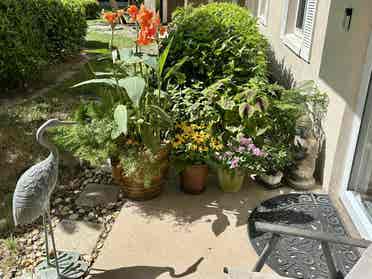 Quiet Room close to downtown Naples