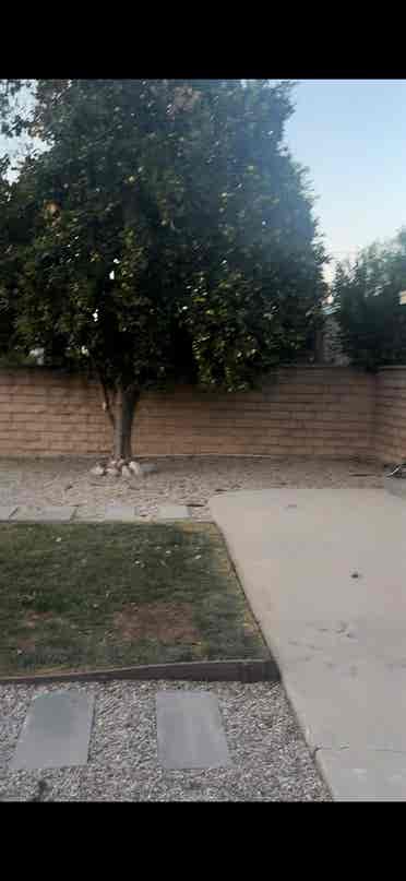 Canoga Park near Topanga Mall.