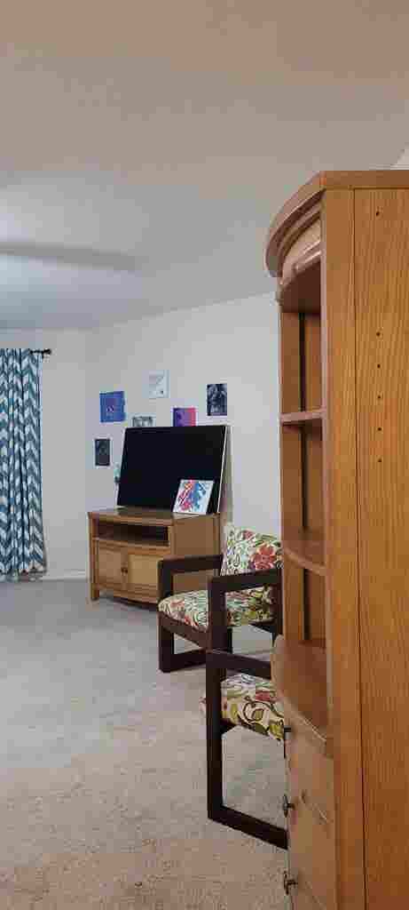 LG Furnished room Orlando Lake Nona