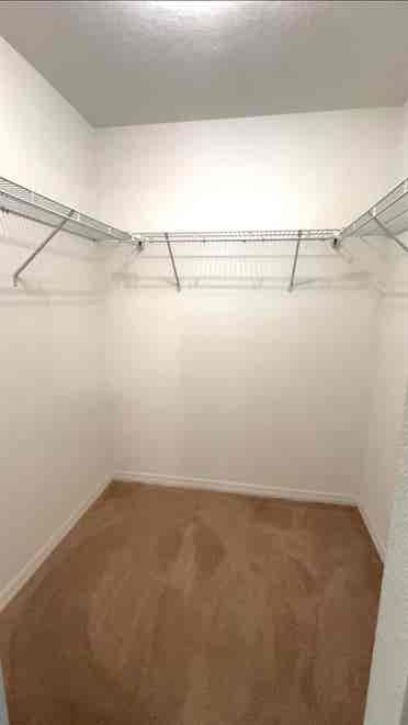 Room 4 Rent