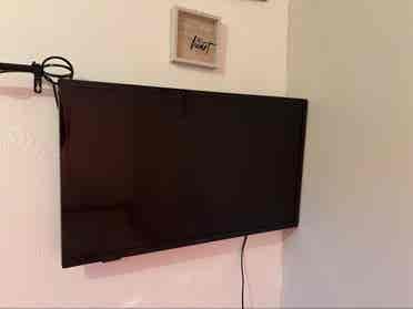 room for rent  / month