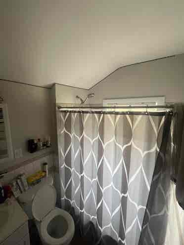 Looking for a roommate in Montclair