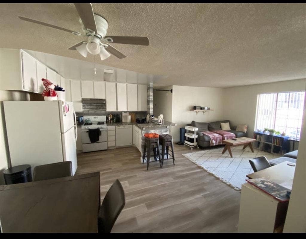 Looking for a roommate!