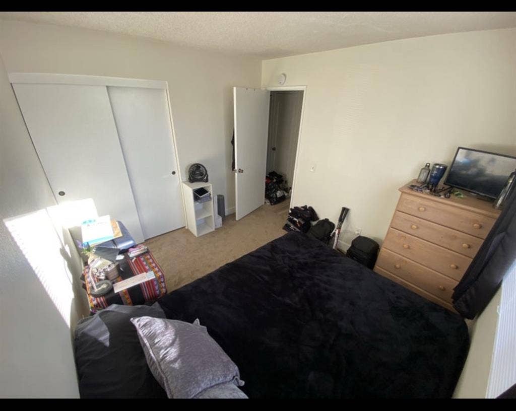 Looking for a roommate!