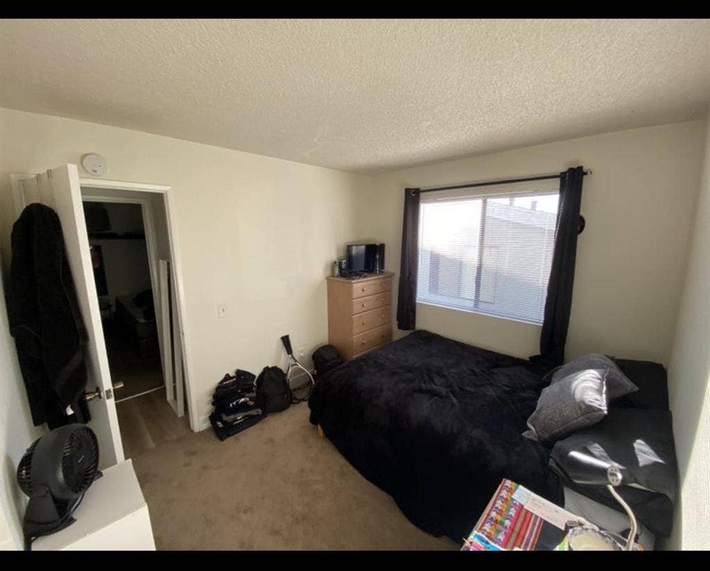 Looking for a roommate!