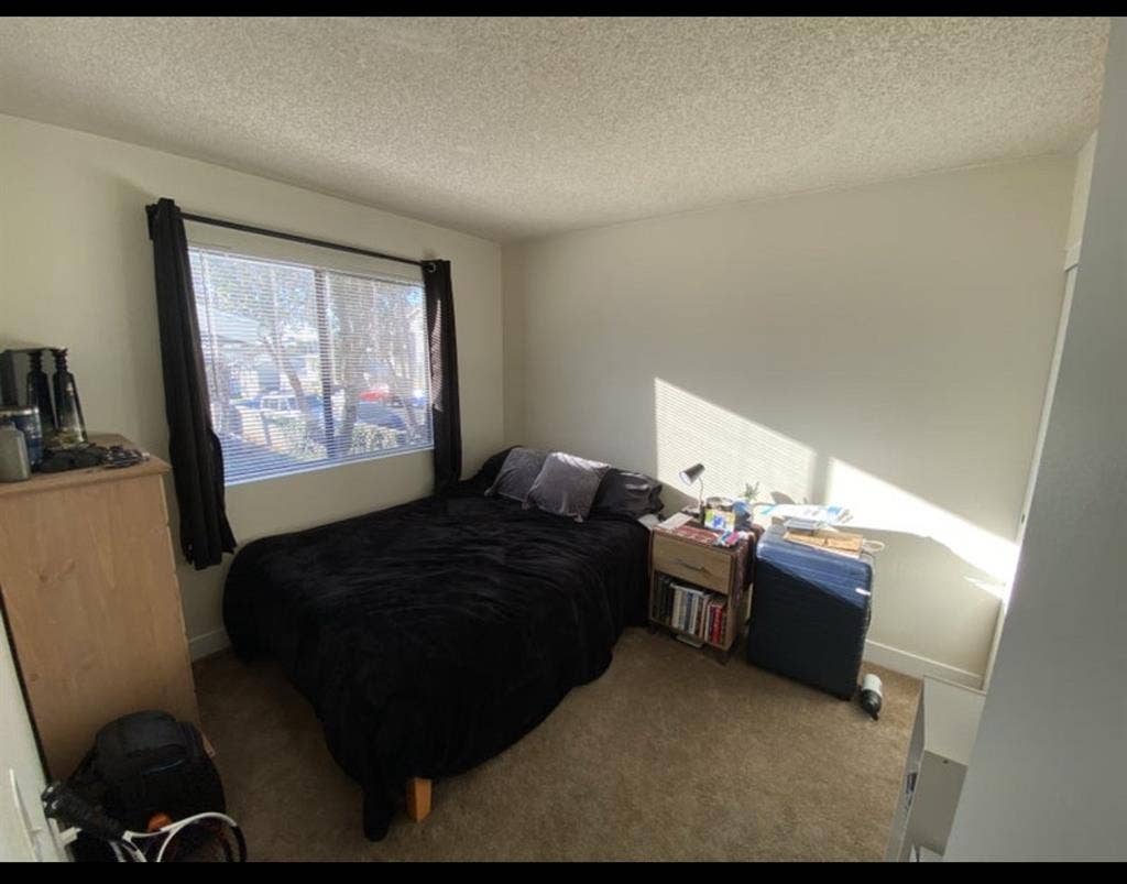 Looking for a roommate!