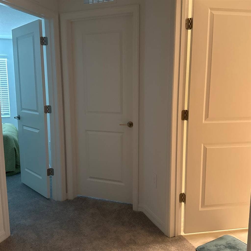 house to share me and my dog