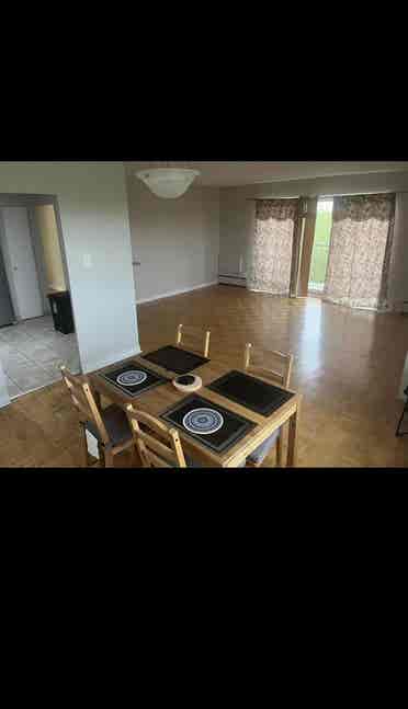 Looking for summer occupant