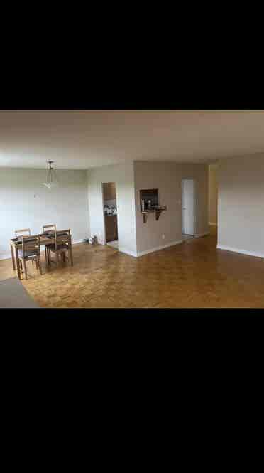 Looking for summer occupant