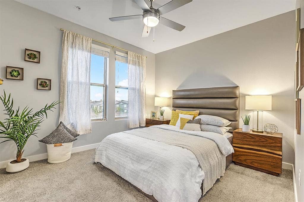 Looking for a roommate (: