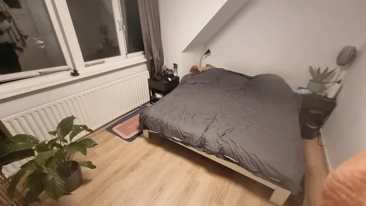 Auping King size, Chill Neighbors