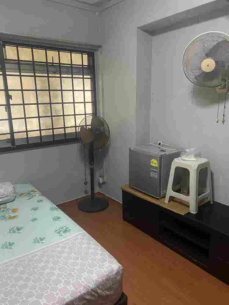 New Listing