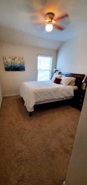 Seeking Housemate, Sunfield in Buda