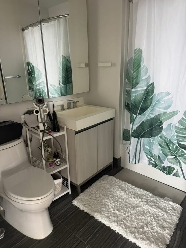 / | Rent-Stabilized