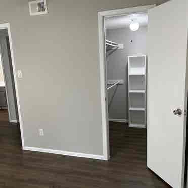 Looking for a roommate