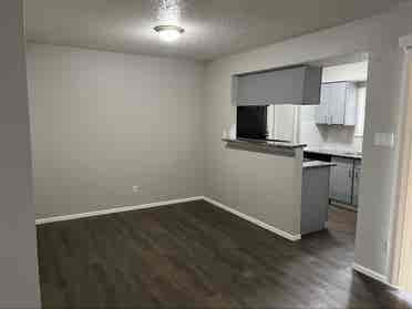 Looking for a roommate
