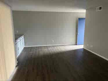Looking for a roommate