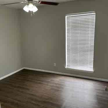 Looking for a roommate