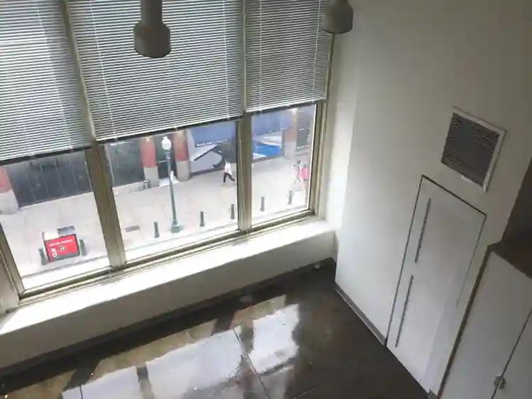 LOOK OUT YOUR WINDOW AND SEE FENWAY