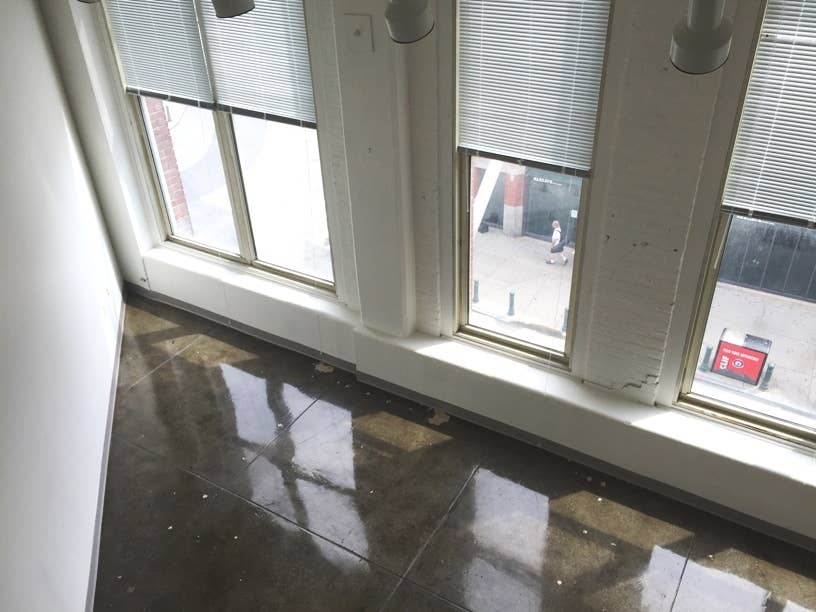 LOOK OUT YOUR WINDOW AND SEE FENWAY