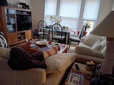 Roommate wanted