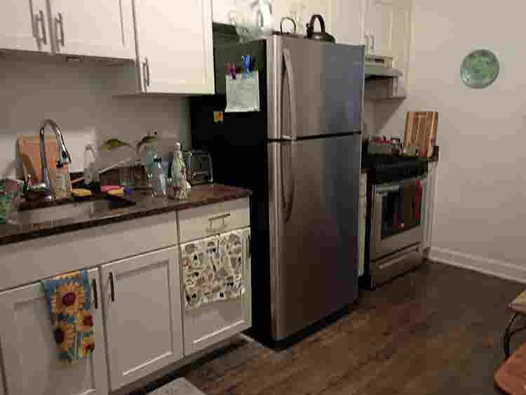 Female Roommate wanted