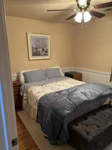Single furnished room available