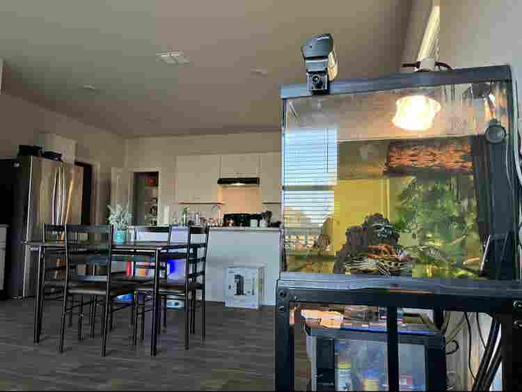 1 room available**