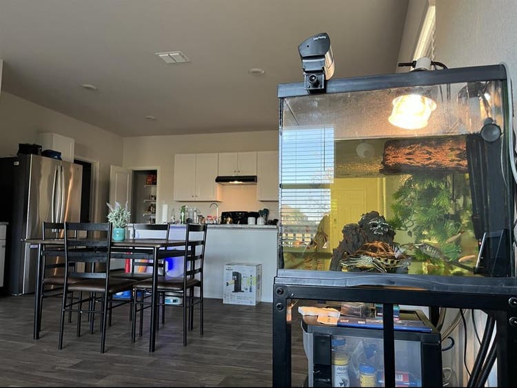 1 room available**