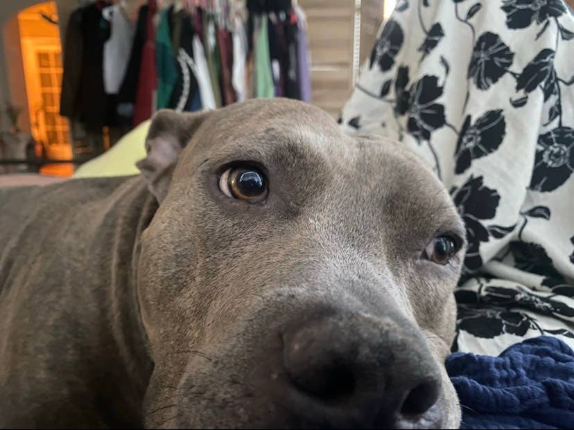 Charming Furnished Room for Rent :)