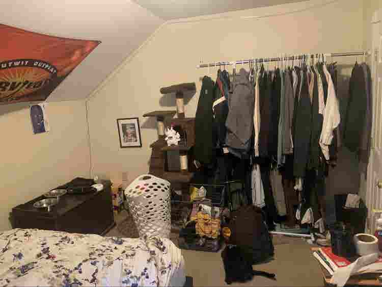 Roomate needed August