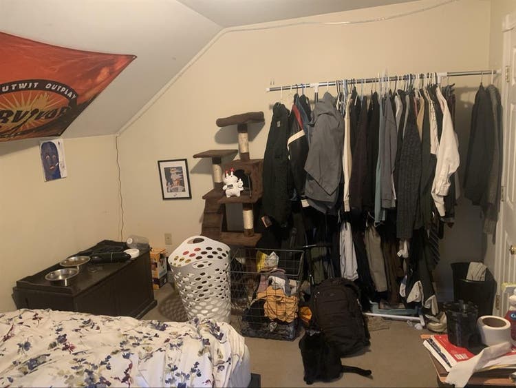 Roomate needed August