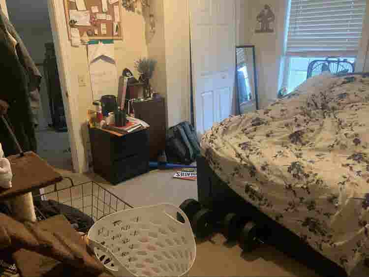 Roomate needed August