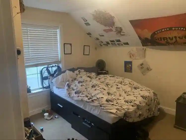 Roomate needed August