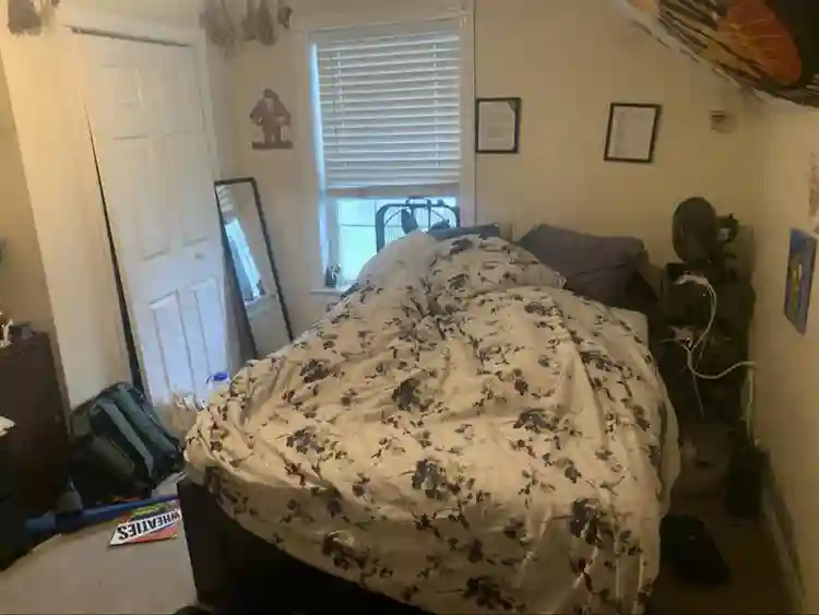 Roomate needed August